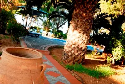 a large vase next to a palm tree next to a pool at Kalives Apartments in Kalyves