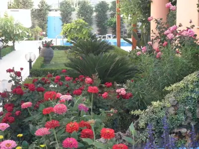 a garden of flowers in front of a building at Golden Rose Suites in Kolymvari
