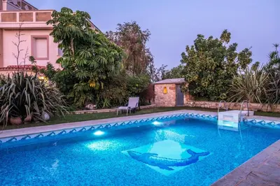 a swimming pool with a shark in the water at Niko's art Villa in Chania in Perivólia