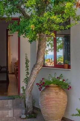 a tree in a large pot next to a building at Christiana Apartments in Gerani Chanion