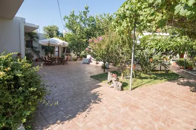 a courtyard with two cats sitting on the ground at Christiana Apartments in Gerani Chanion