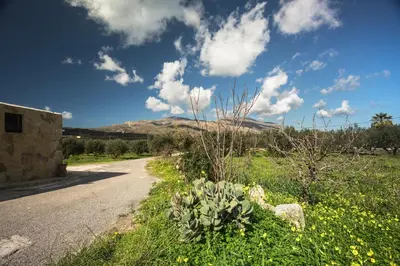 a road with a cactus on the side of the road at Μylos in Kissamos