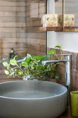 a bathroom sink with a faucet and a plant at Olive Lemon Biophilic House & Lush Forest Garden in Vamos