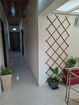 a hallway with potted plants on the wall at Parthenon Hotel in Souda