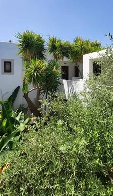a white house with trees on the side of it at Tree of Life Art Hotel in Agia Marina Nea Kydonias