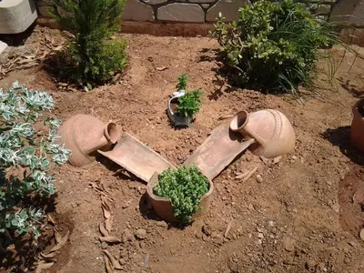 a garden with a plant in a pot on the ground at father's house in kissamos in Korfalónas