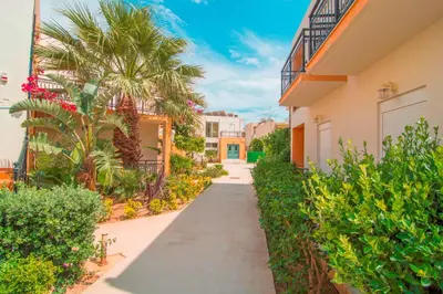 a walkway between two buildings with a palm tree at Oreia in Palaiochóra