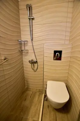 a bathroom with a toilet and a shower at Hotel Aghas Paleochora in Palaiochóra