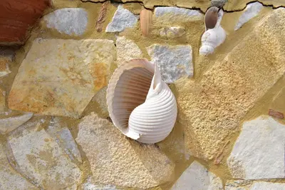 a shell and a rabbit sitting on a stone wall at Marinakis Sea View Studios in Sougia