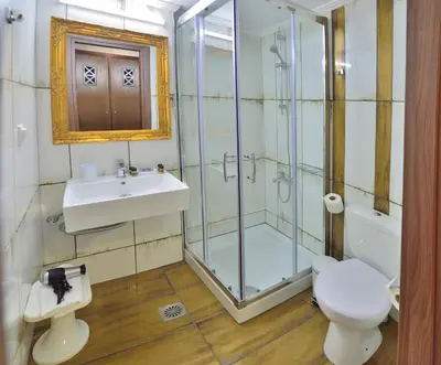 a bathroom with a shower and a toilet and a sink at Hotel Peli in Kissamos