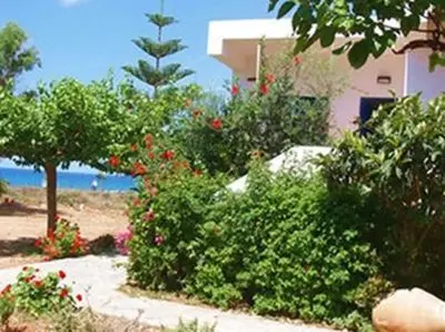 a garden with bushes and flowers in front of a building at Fragokastello Star in Frangokastello