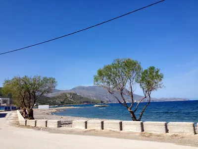 two trees on a beach next to a body of water at Eleni in Kissamos