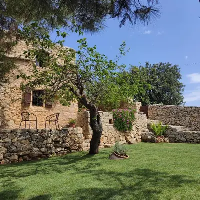 a tree in a yard next to a stone wall at Bendeni Cottage in Megála Khoráfia