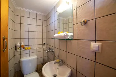 a bathroom with a toilet and a sink at GrapeVine Villa in Gavalochori