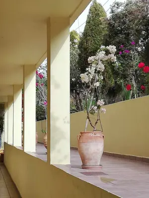 a large vase with flowers in it in a building at Kalithea Apartments - Heated Pool in Kalyves