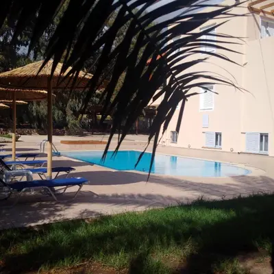 a swimming pool with chairs and a palm tree at Flisvos Rooms in Palaiochóra