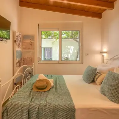 Vitis Vinifera Tranditional Studio Apartment