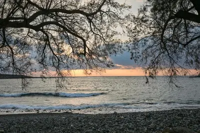 a beach with a tree and the ocean at sunset at Sea Side House Rapanas in Falasarna