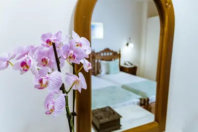 a bunch of pink orchids in front of a mirror at Anais Collection Hotels & Suites in Kato Daratso