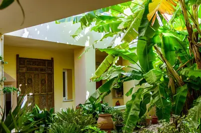 a room filled with lots of green plants at Anais Collection Hotels & Suites in Kato Daratso