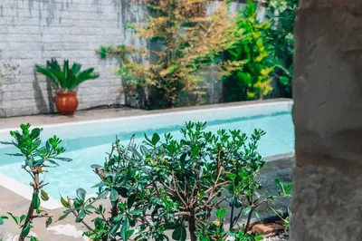 a plant in front of a swimming pool at Villa Stafidaki in Stalos