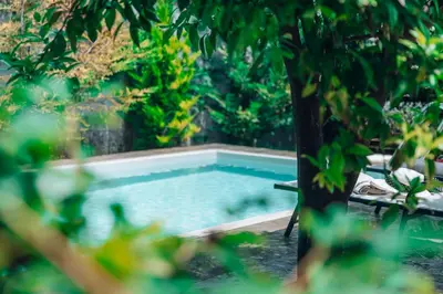 a swimming pool sitting next to a tree at Villa Stafidaki in Stalos