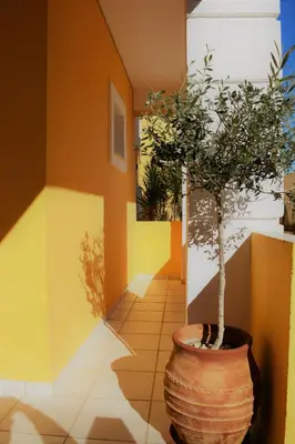 a plant in a large pot in a hallway at Raph's Studios-Apts By The Sea in Agia Marina Nea Kydonias