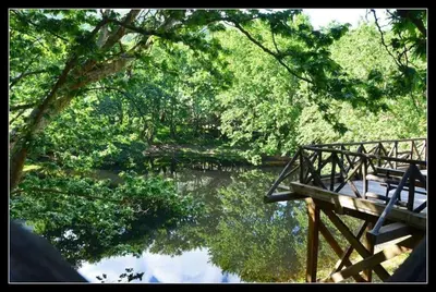a bridge over a body of water with trees at Horio House in Límni