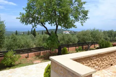 a stone wall with a tree in the background at Drys Villas in Xirokámbion