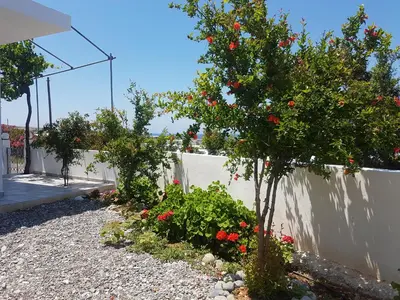 a garden with red flowers and a fence at Terra Falasarna in Falasarna