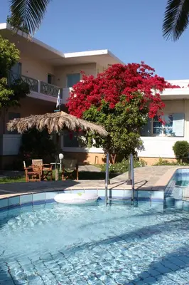 a swimming pool with an umbrella and a table and a tree at Cormoranos Apartments Rooms Eco Green in Kissamos