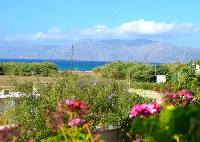 a field of flowers with mountains in the background at Kamara Stone House in Kissamos