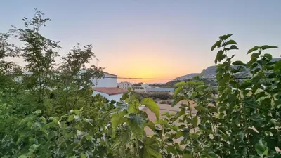 a view of the sunset through the trees at Enjoy Sunset in Palaiochóra