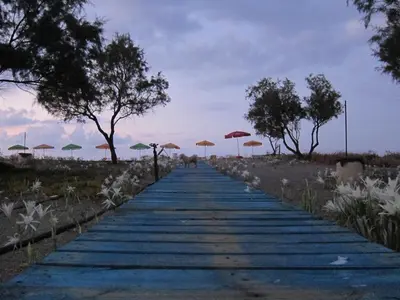 a walkway with umbrellas on a beach at Baladinos Apartments in Gerani Chanion