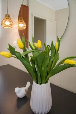 a white vase with yellow flowers and a white bird at Gianthea Studios and Apt in Stalos