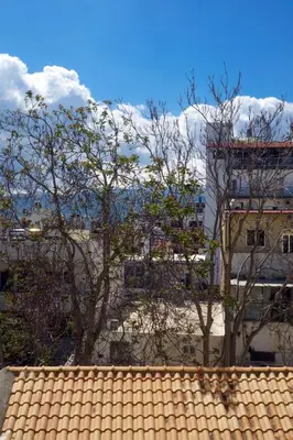 two trees on top of a roof with a building at Cozy Studio Chania in Chania Town