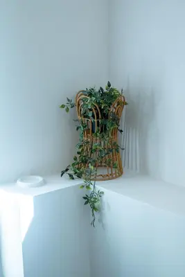 a plant in a wicker basket on a wall at Mare I - studio in Old Harbor in Chania Town