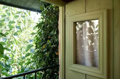 a window with a plant on the side of a house at Lemon Tree Eco-Retreat in Gavalochori