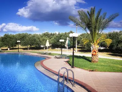a swimming pool with a palm tree in a park at Areti Aparthotel in Áptera