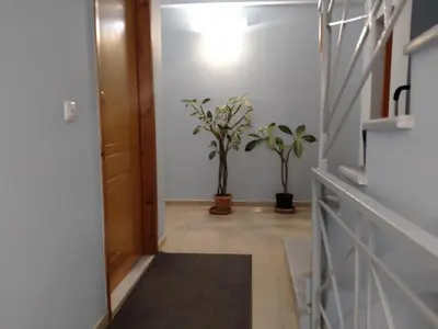 a hallway with two potted plants and a door at Leonidas Rooms in Plataniás