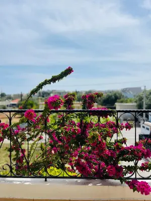 a bunch of pink flowers on a balcony at Thea Artemis in Kato Daratso