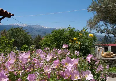 a garden with flowers and a swan in the background at Villa Eternity in Alikampos