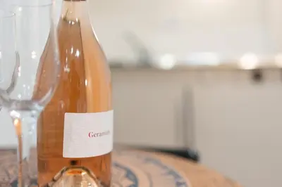a bottle of wine sitting next to a wine glass at Romeos Studios in Agia Marina Nea Kydonias