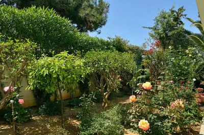 a garden with trees and bushes and flowers at Alexandra's Relaxing Suite in Kalamaki Chanion