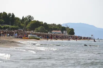 a crowd of people on a beach with the water at Alexandra's Relaxing Suite in Kalamaki Chanion