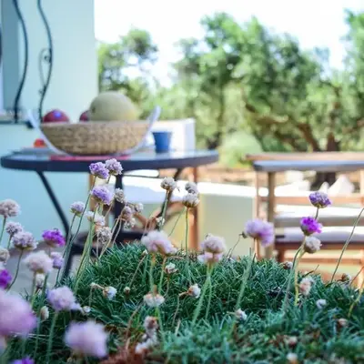 MaGea- Asterias Ground floor peaceful apartment