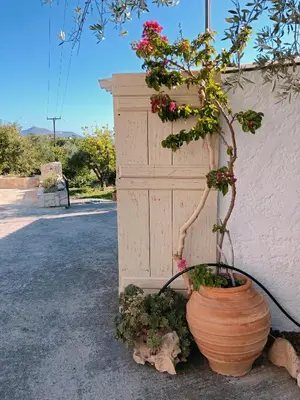 a plant in a pot next to a wall at Elia's House Traditional & Cozy by 8essentially in Kalyves