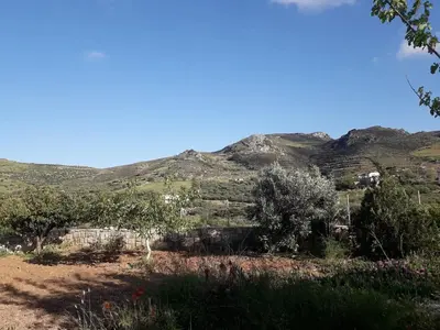 a field with trees and mountains in the background at Cozy secluded studio with panoramic view in Áyios Yeóryios