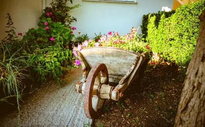 an old wooden wheelbarrow sitting next to some flowers at Koulouris Apartments & Studios in Kalyves
