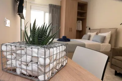 a plant in a container on a table in a living room at Superior Central Studio in Chania Town